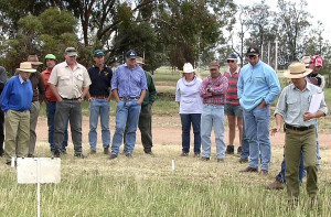 farmers-inspecting-trials-small